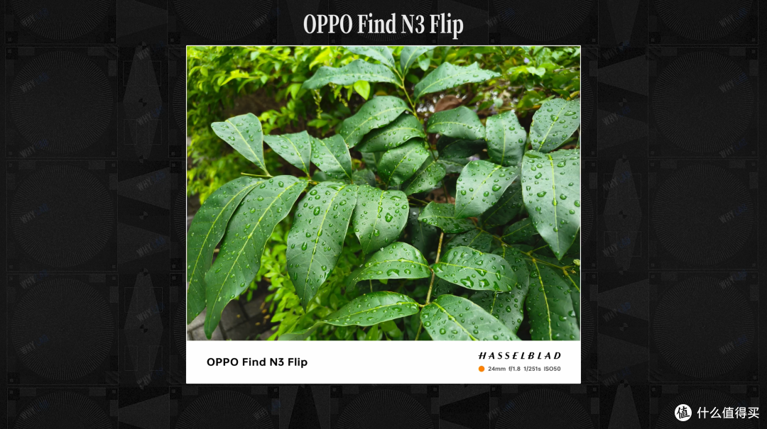 OPPO Find N3 Flip:有了长焦,小竖折进化成完全体了吗?