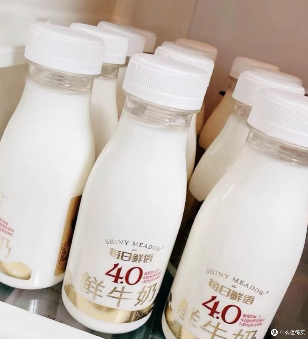 每日鲜语,4.0蛋白的好牛奶
