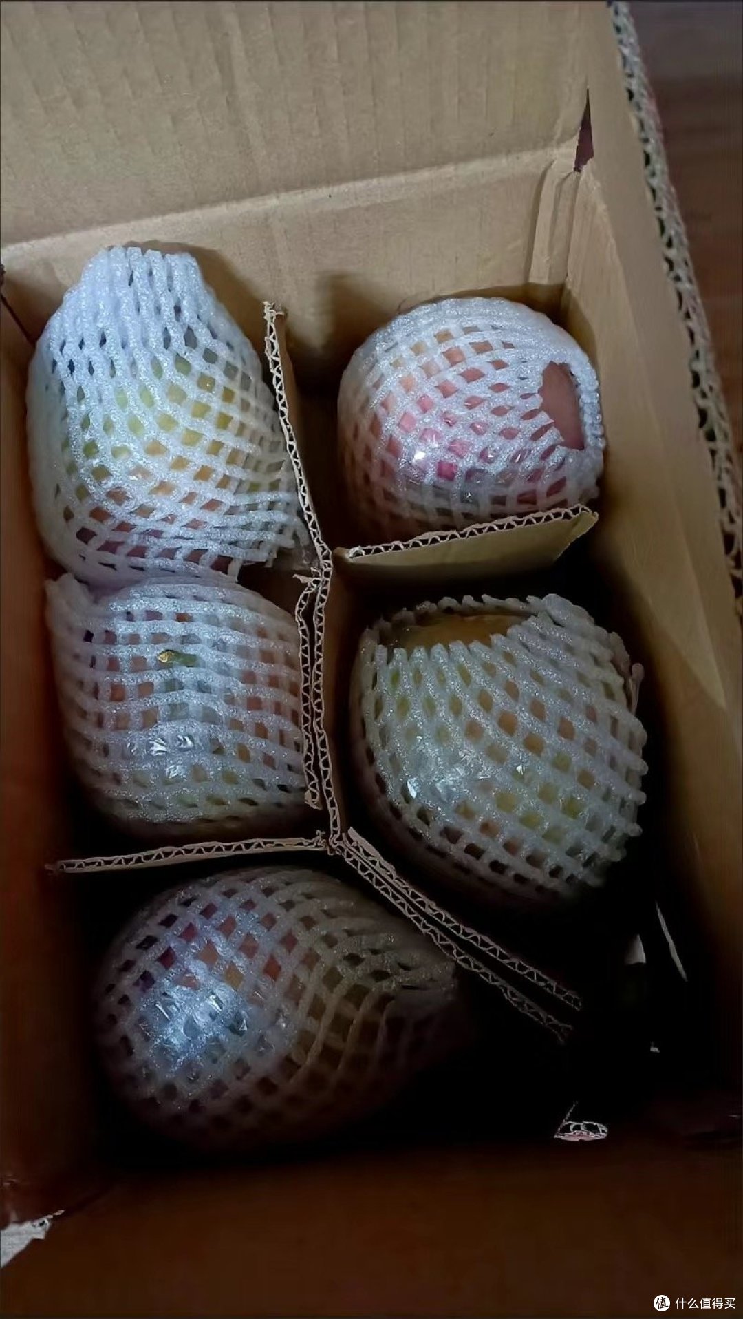秋季疾病预防:做好防护,安心度过秋天!