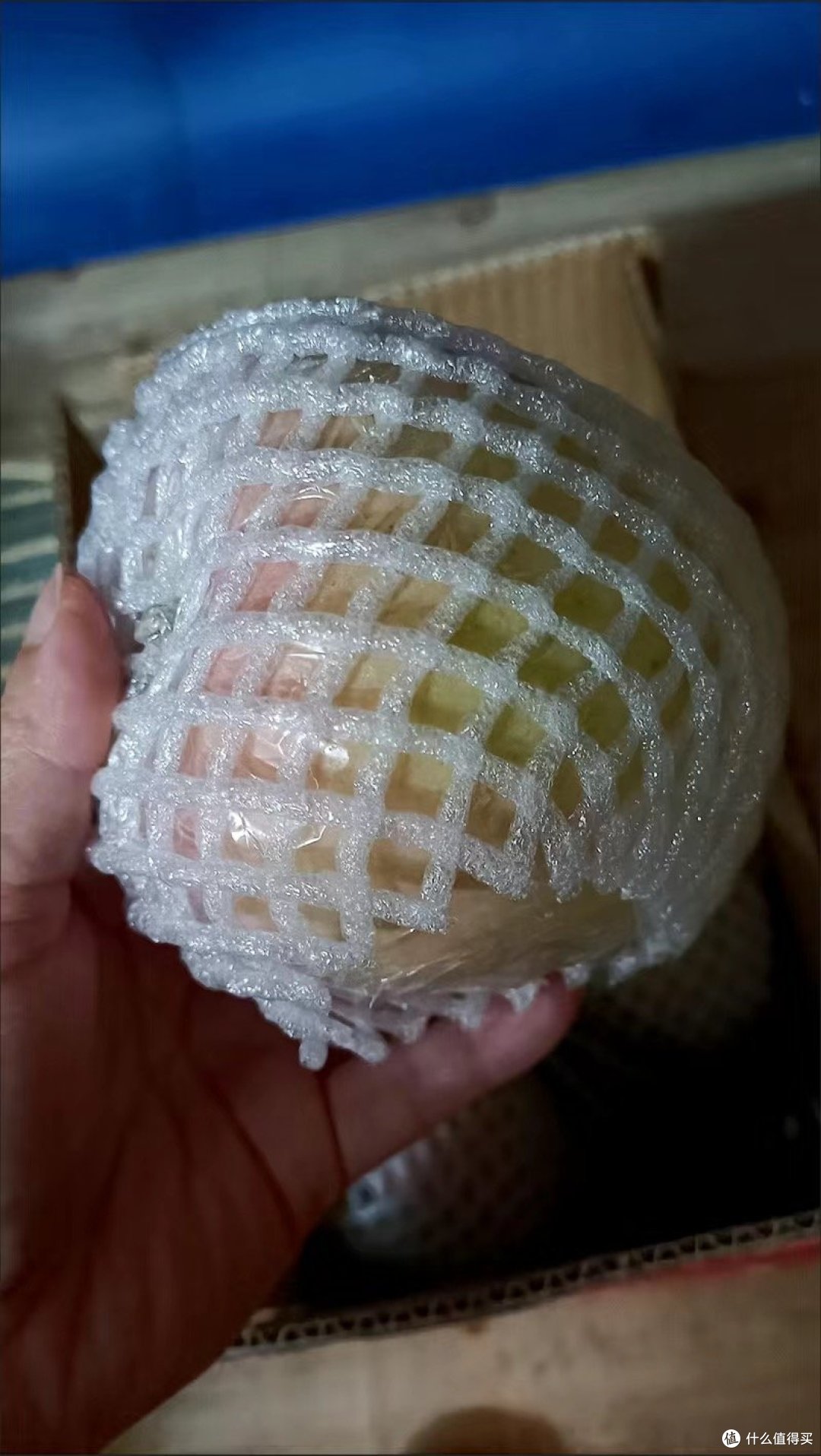 秋季疾病预防:做好防护,安心度过秋天!