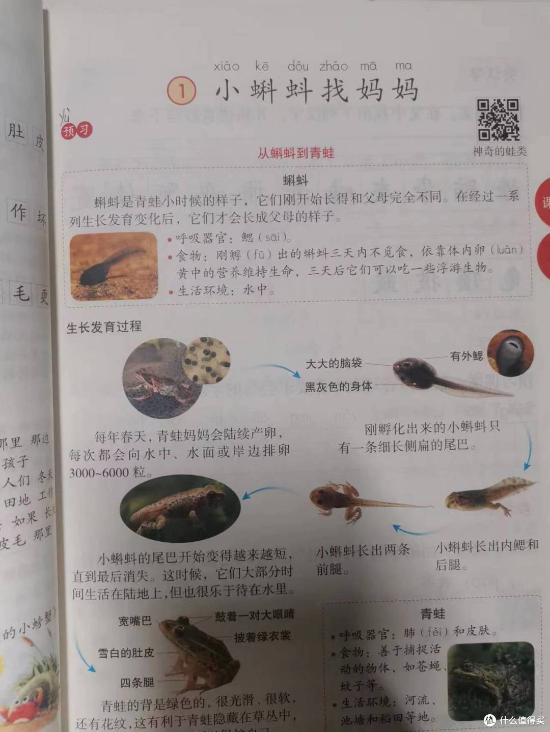 娃娃的开学准备好了么？