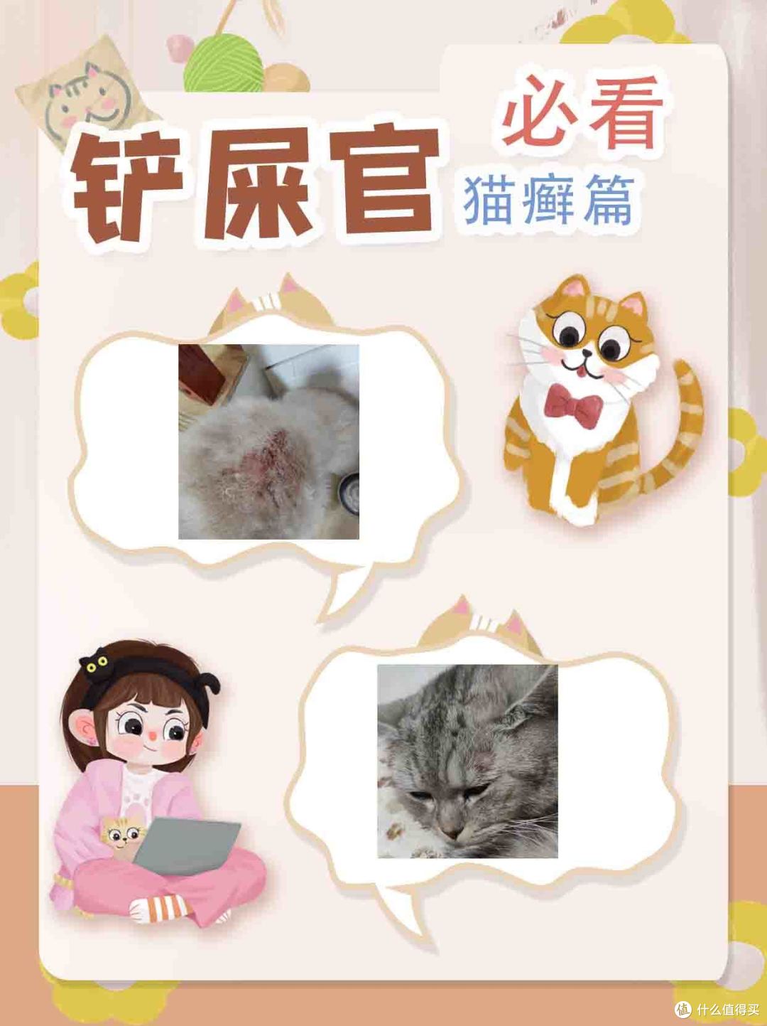 干货!铲屎官必看之猫癣篇
