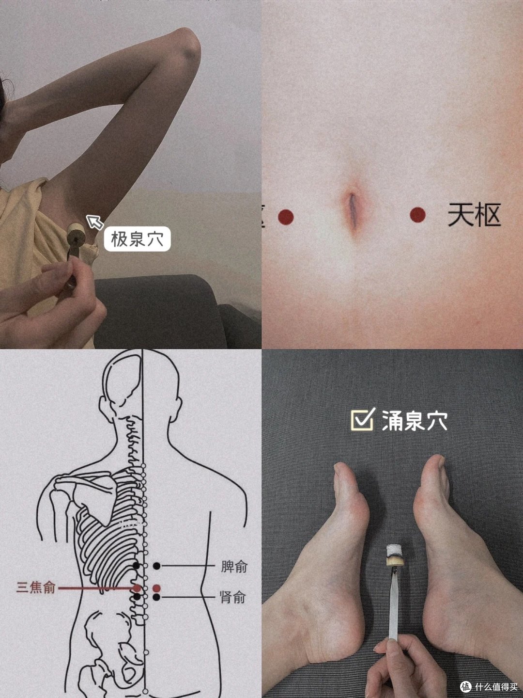 秋季养生 | 以变美为目的