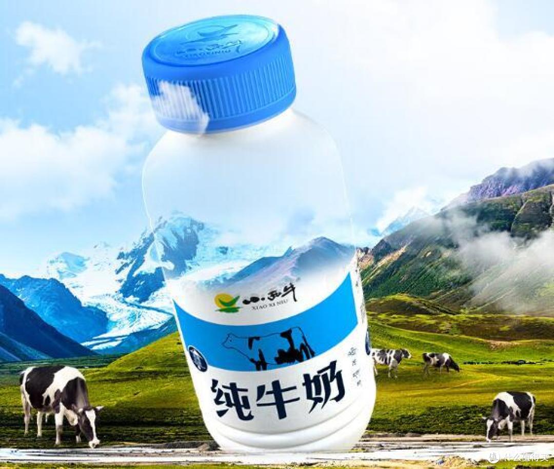 宝藏乳品:小西牛高原奶,口感不仅更好,营养价格超高!
