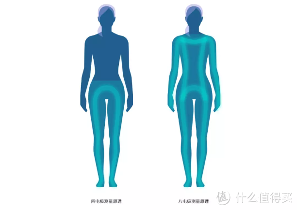 减肥人一定要有个好用的称：云康宝CS10E八电极体脂秤 入手体验