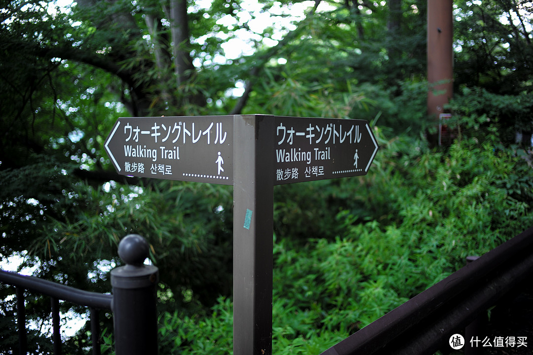 DAY6、富士山一泊二食温泉酒店（上）