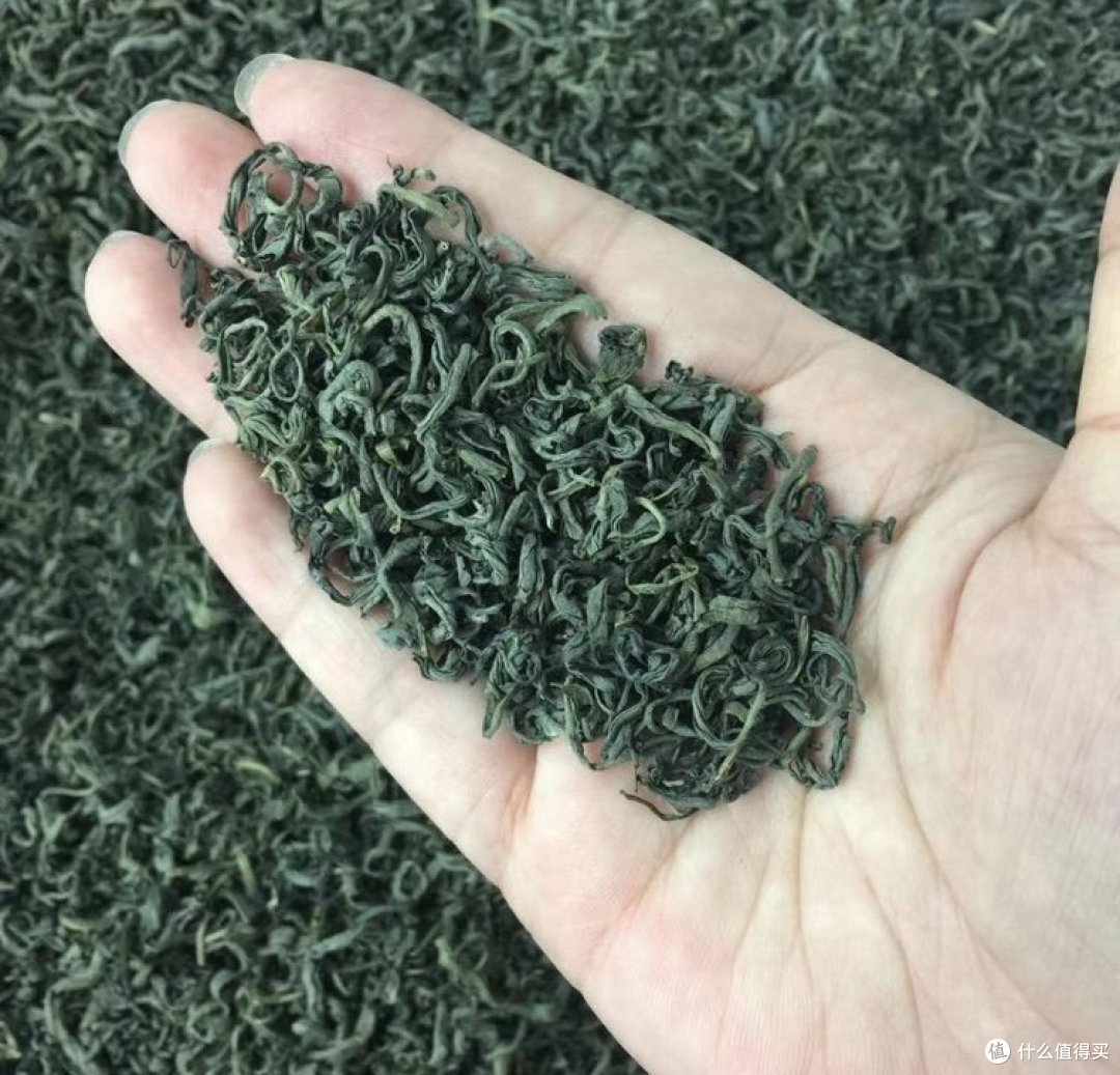 震惊!遵义毛峰惊现神奇功效,喝过的人都说赞!