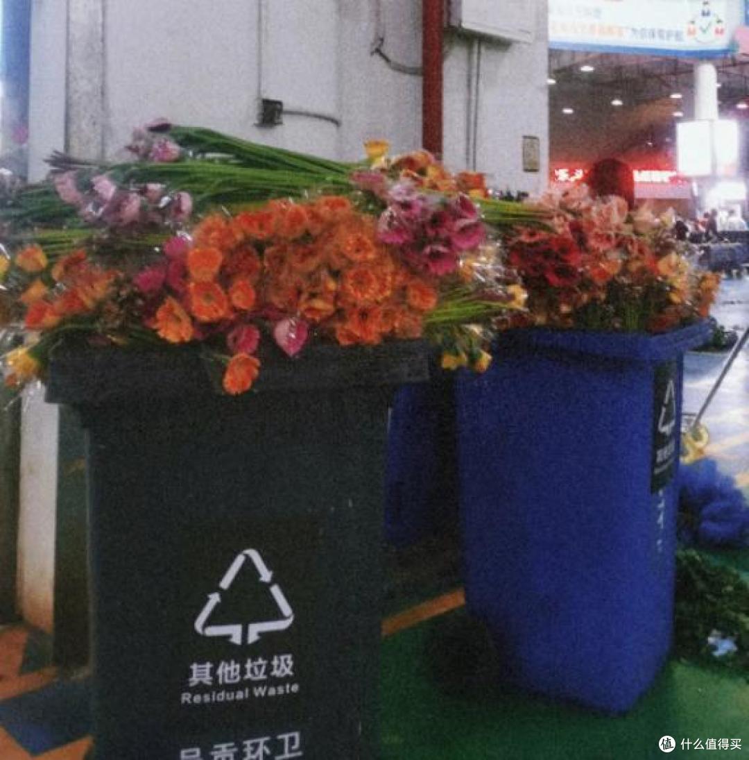 “被丢弃的花草”,再喜欢也别往家搬,看一看再说,当心惹麻烦