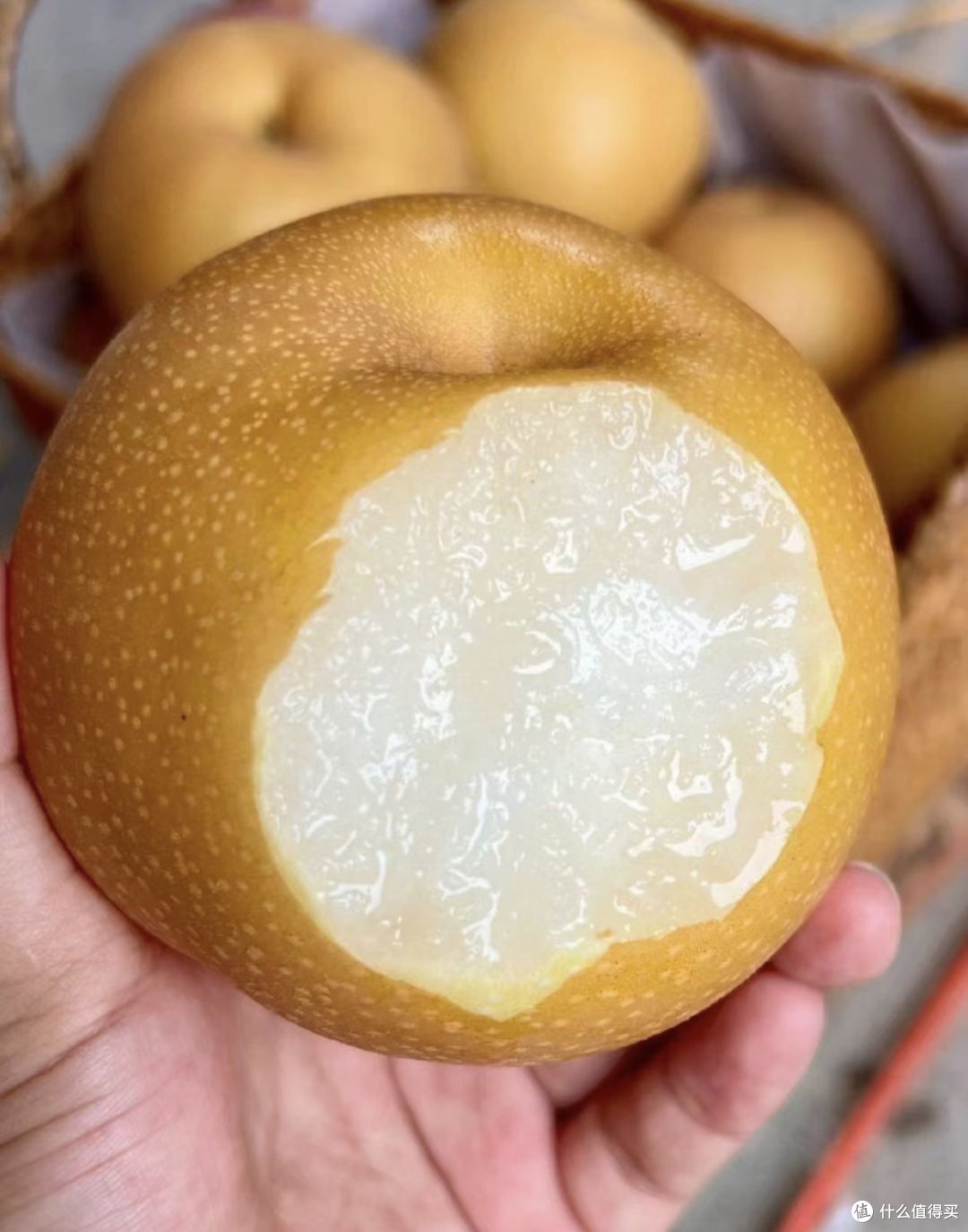 入秋之后要多吃的水果‼️