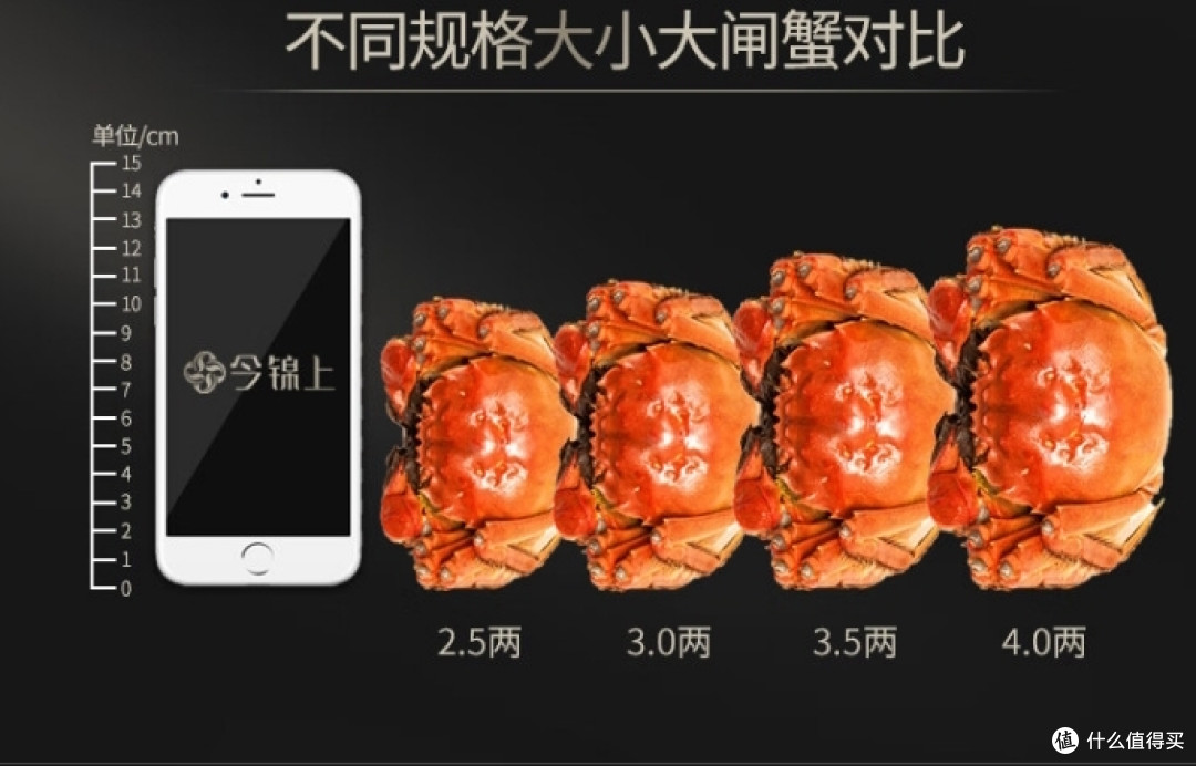 金秋9月正是吃大闸蟹的好时节
