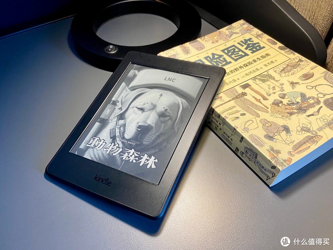 用了7、8年的kindle PW3，纯文字阅读体验非常好。