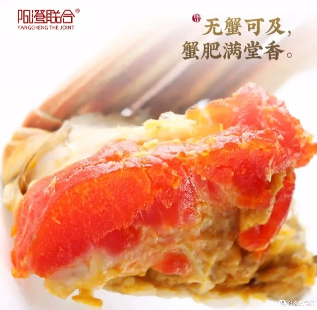 9月的阳澄湖大闸蟹是最肥美的