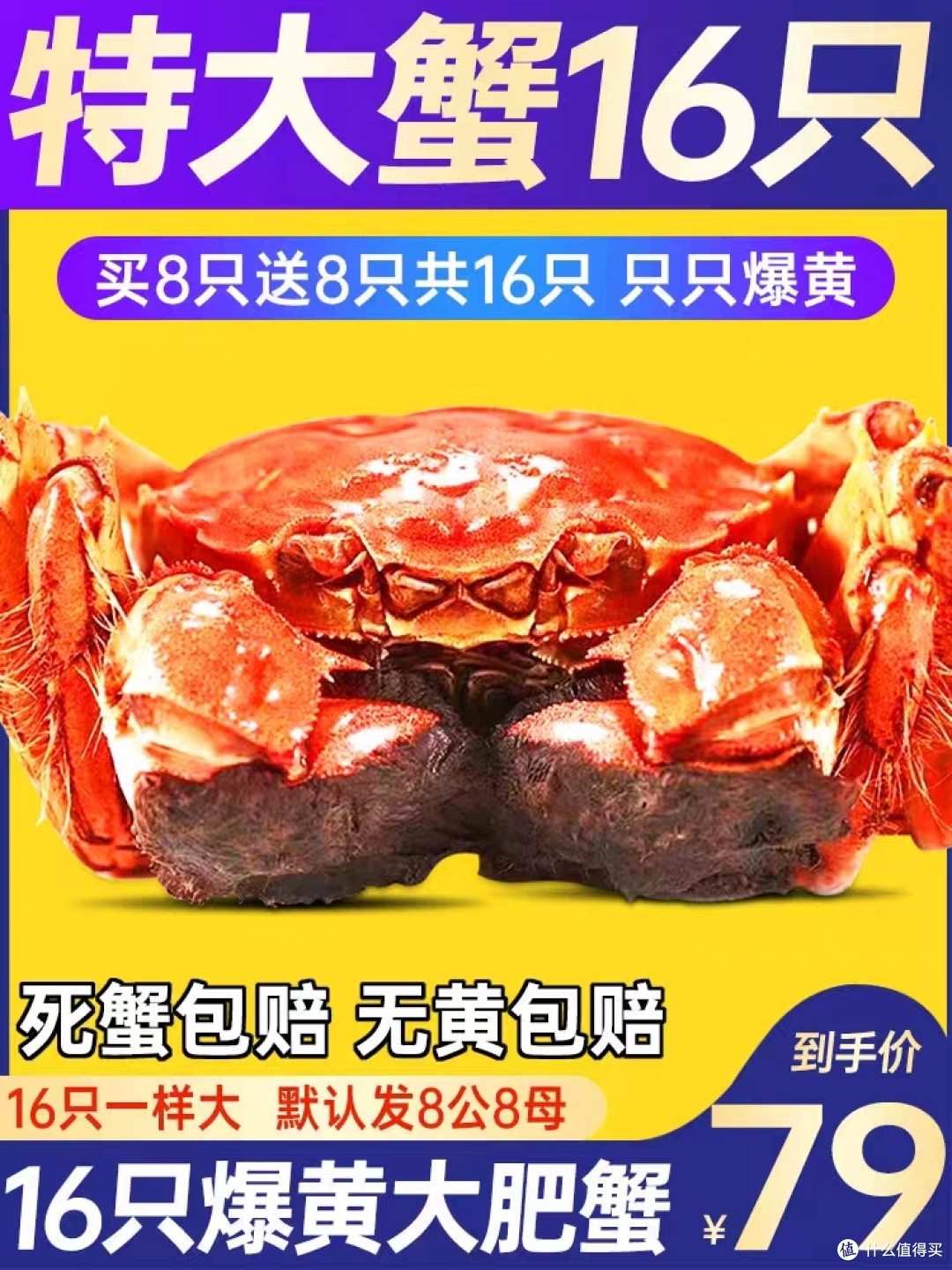 人们常常为一种美味而狂热,那就是——大闸蟹!