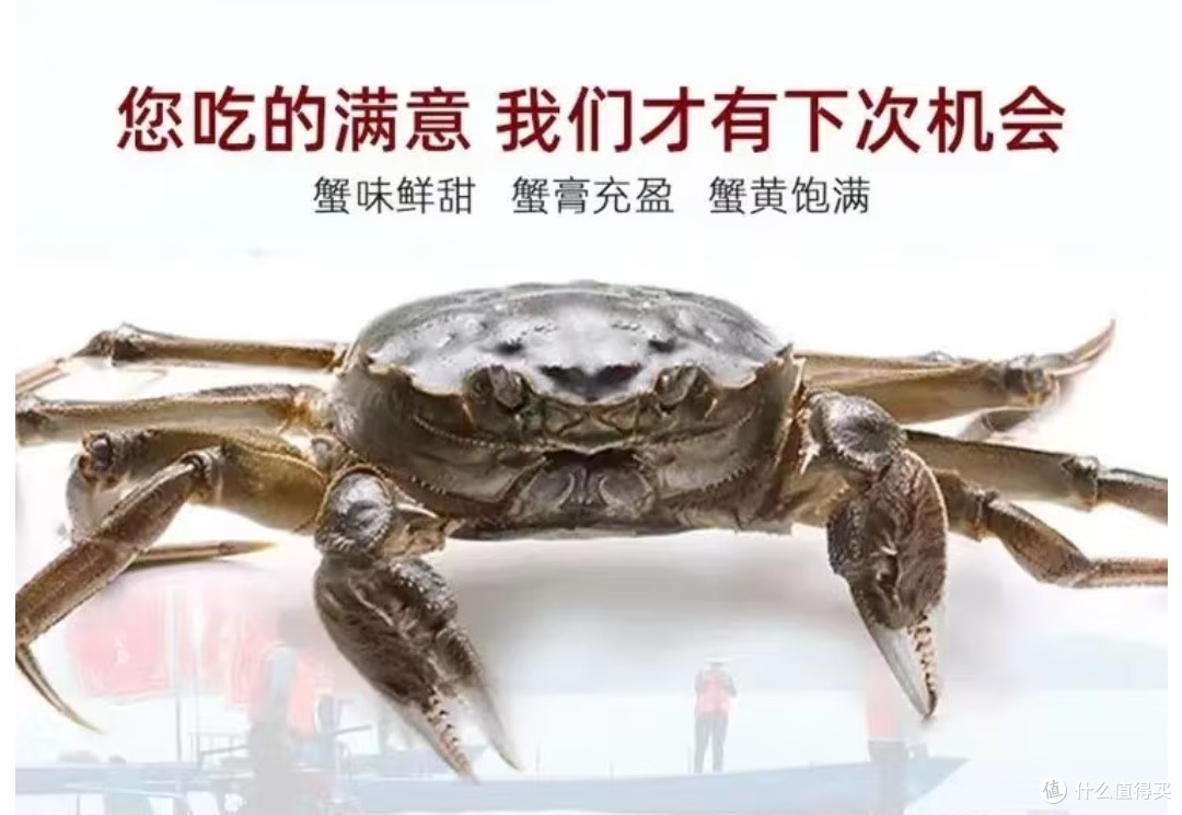 9月来了,又到了吃大闸蟹的时候了