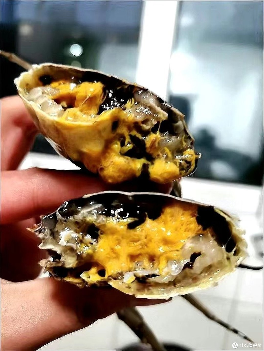 🦀大闸蟹吃货攻略，