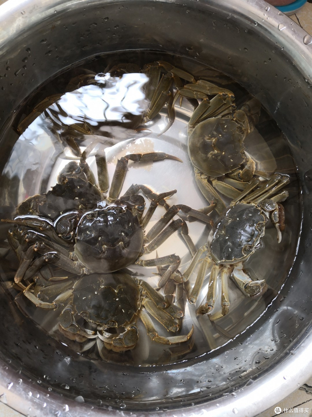 大闸蟹到底什么样的好？