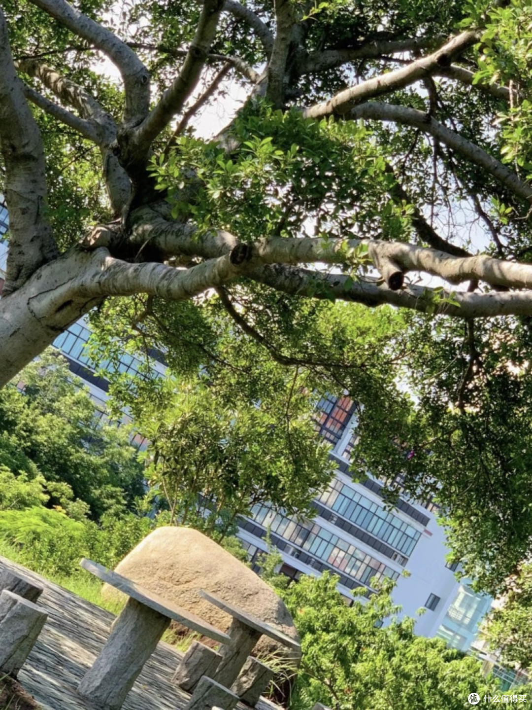珍视大学时光,把握青春的每一刻