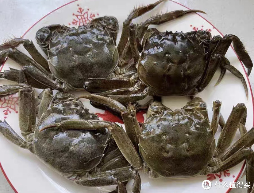 除了阳澄湖,江苏还有哪里螃蟹比较好?大闸蟹选购攻略之产地篇
