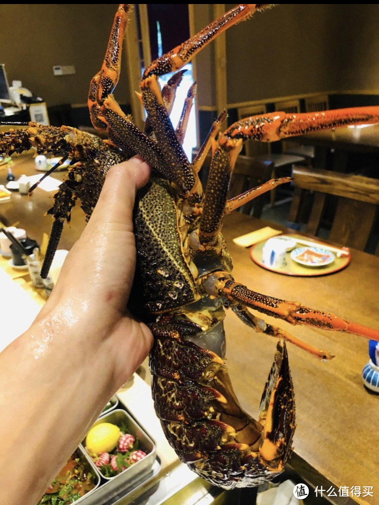 澳洲龙虾：来自海洋的奢侈品