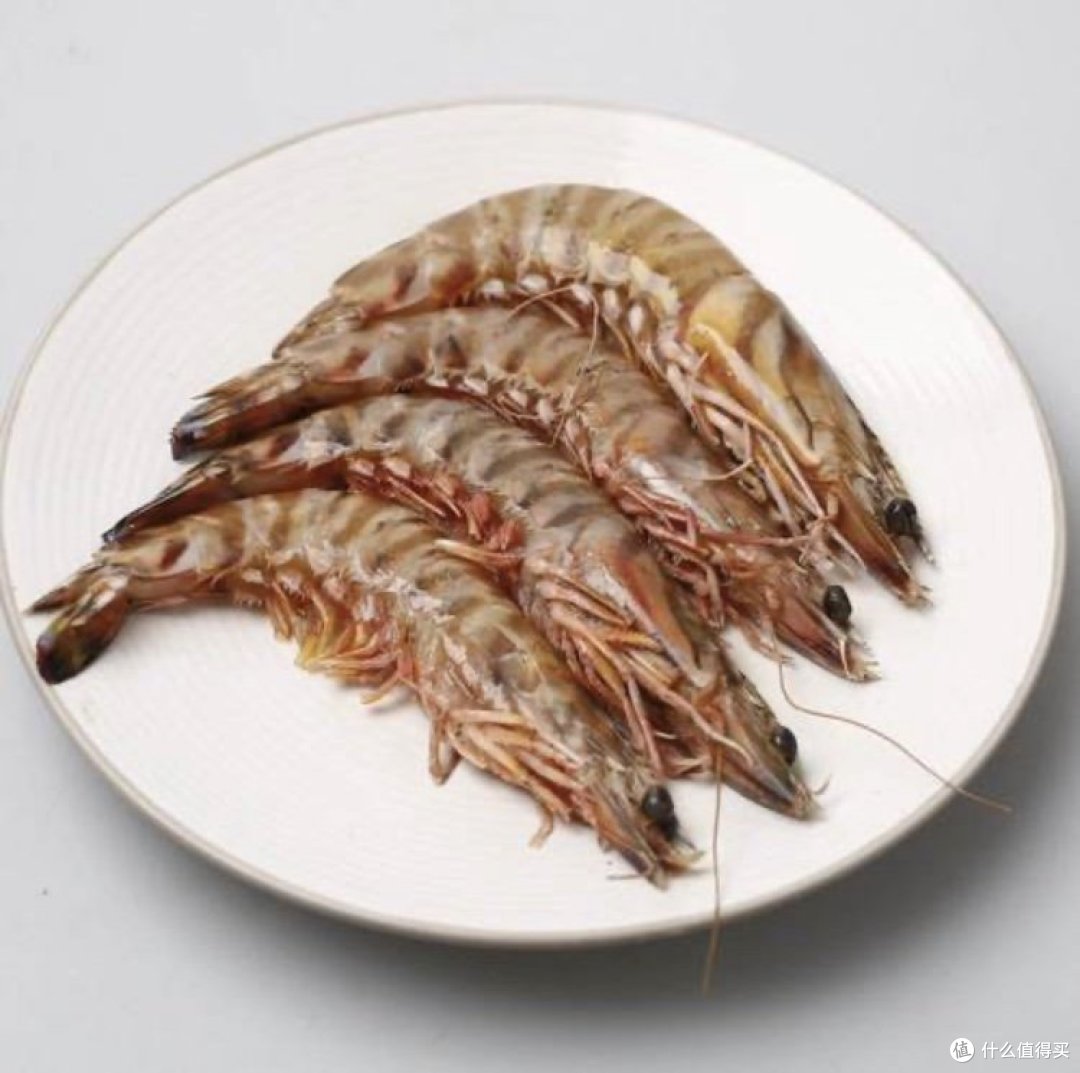 「网红竹节虾,让你味蕾爆炸的鲜美之选!」