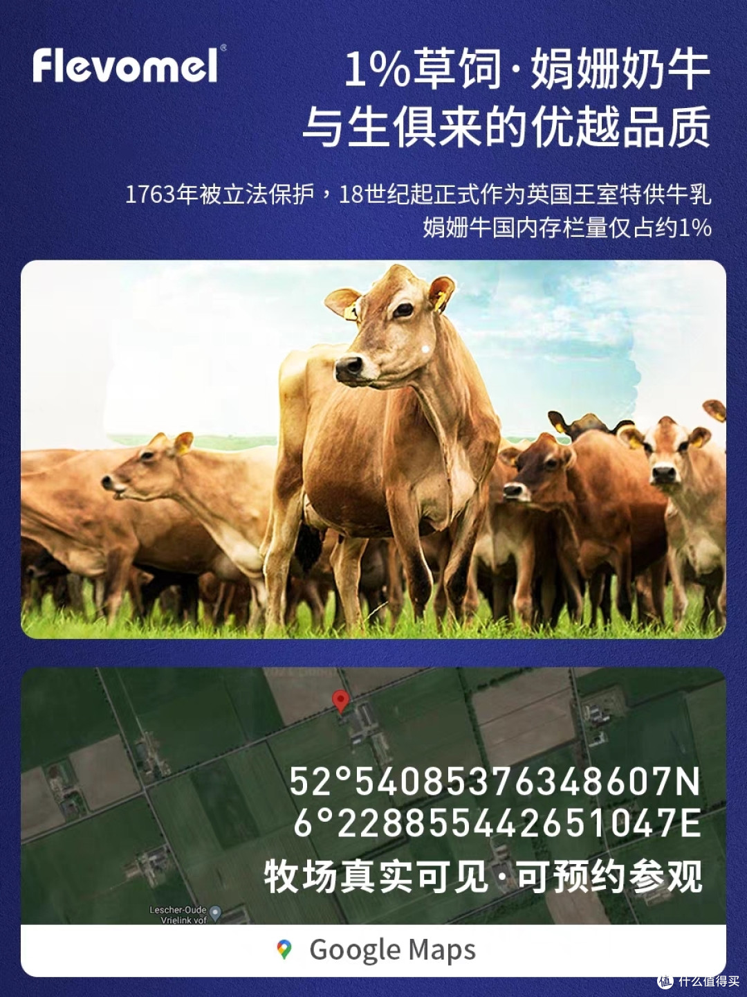 纯牛奶选购避坑指南:如何挑选到优质的纯牛奶?