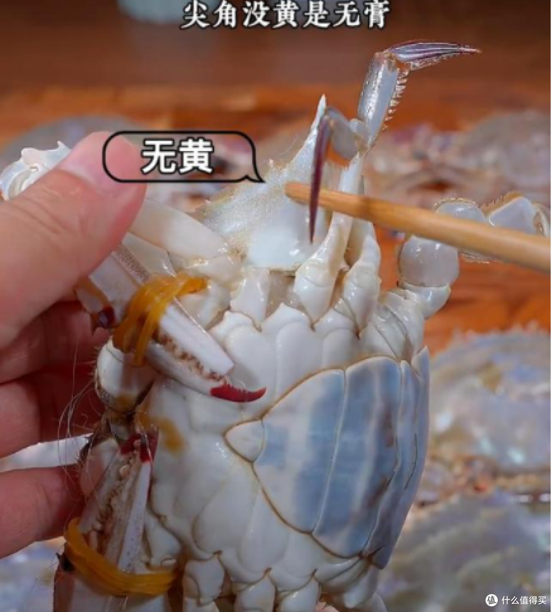 大闸蟹选购和避坑指南