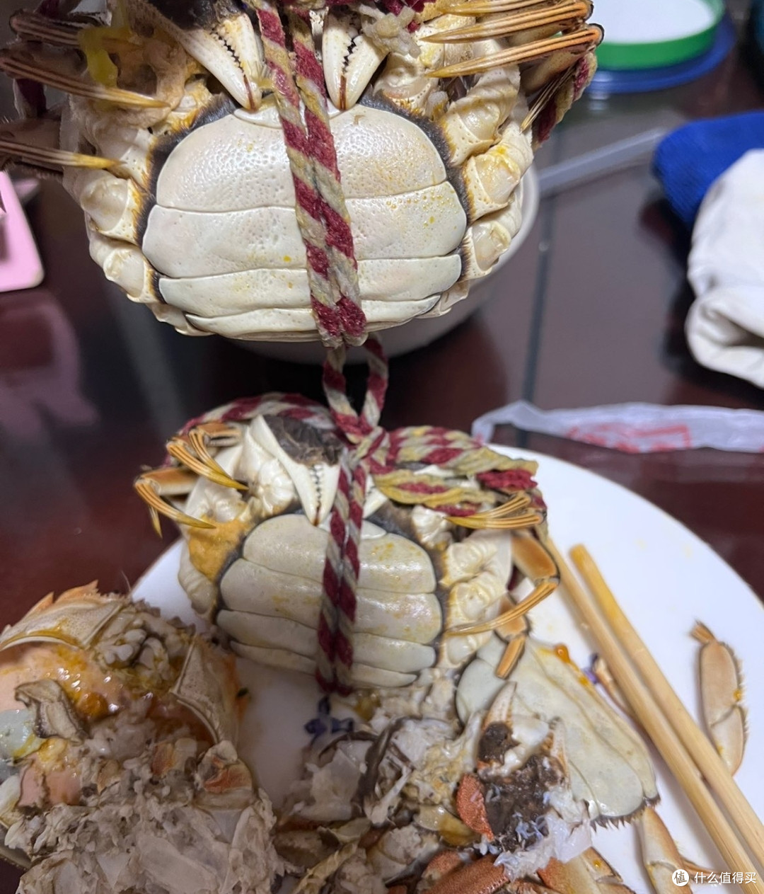 九月吃螃蟹的时候到了超大一只