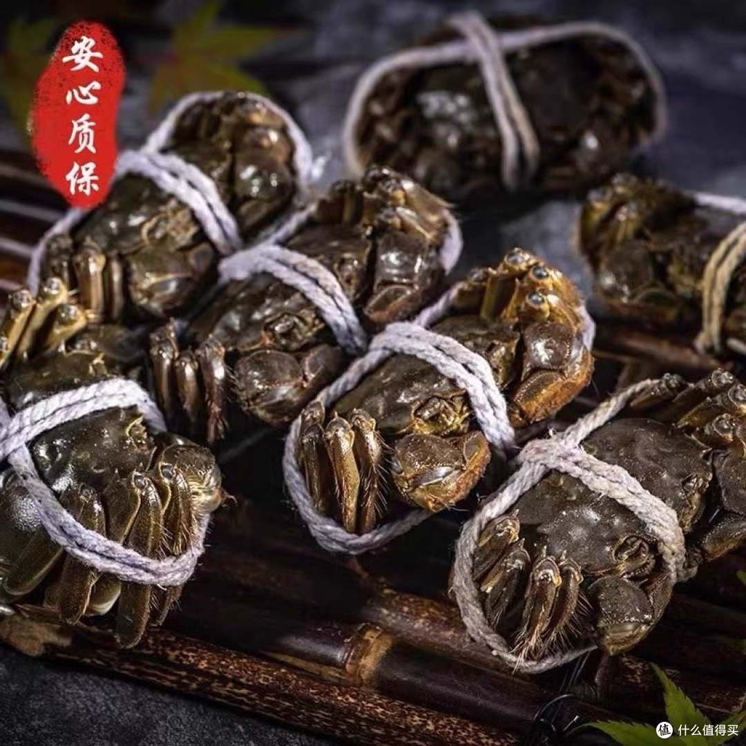 选购大闸蟹的秘密武器:让你成为品蟹专家