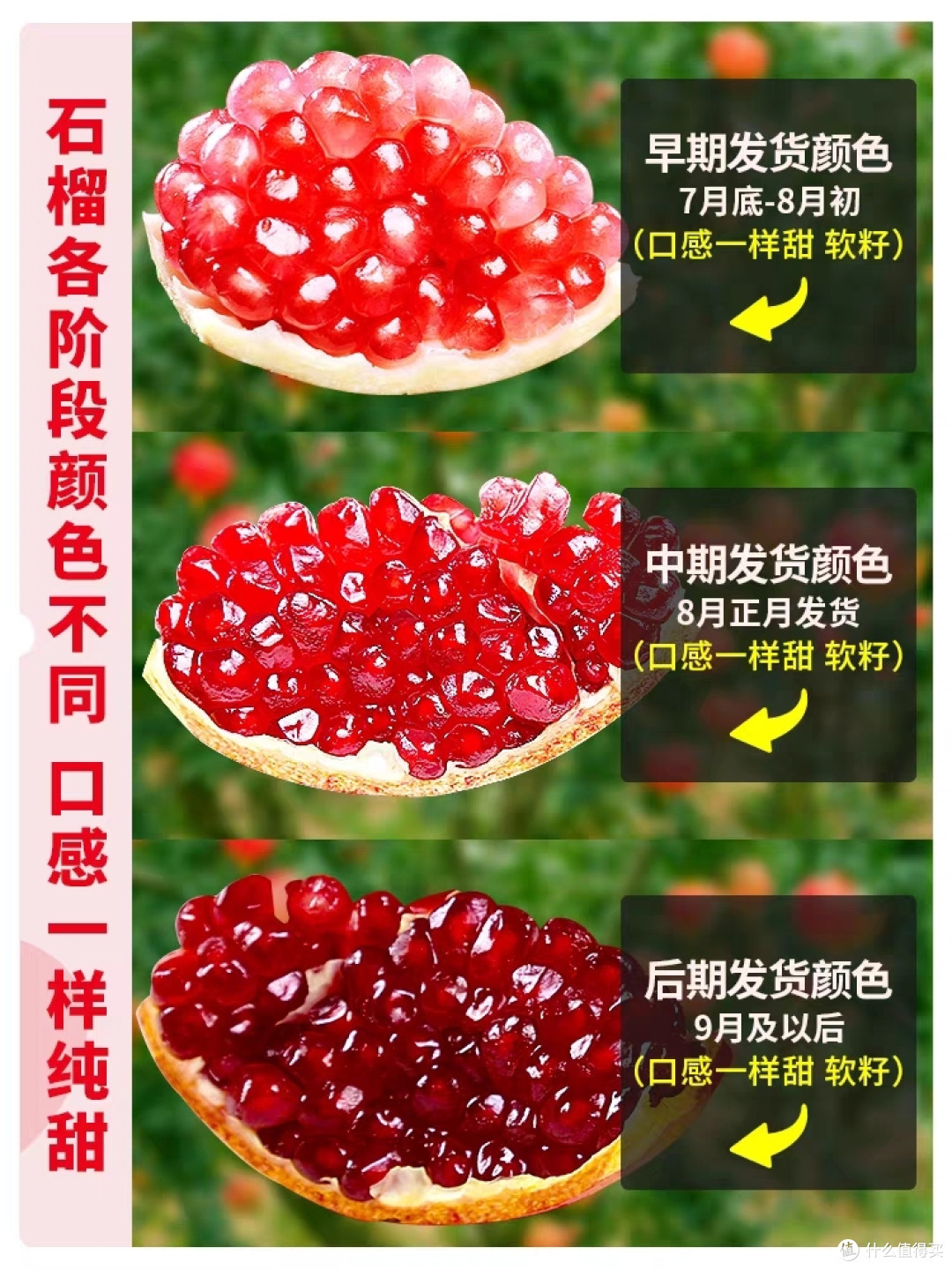 秋季常见疾病预防攻略