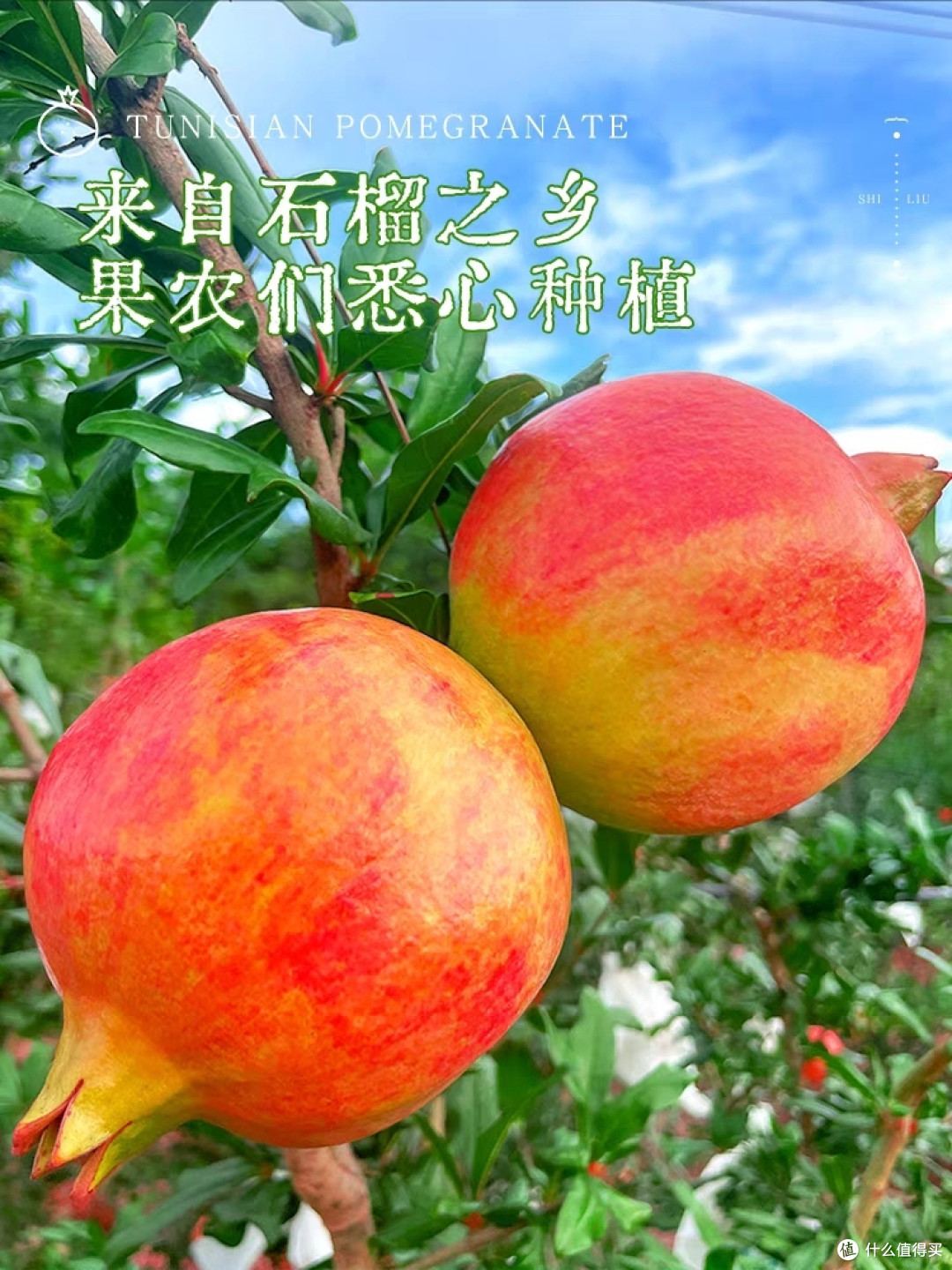 秋季常见疾病预防攻略