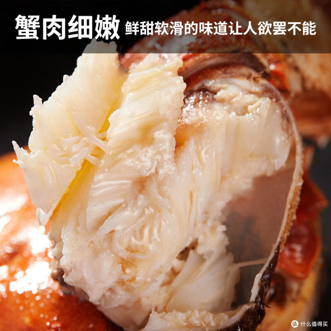 大闸蟹的美味叫人无法抵挡,让你拥有舌尖上的享受!