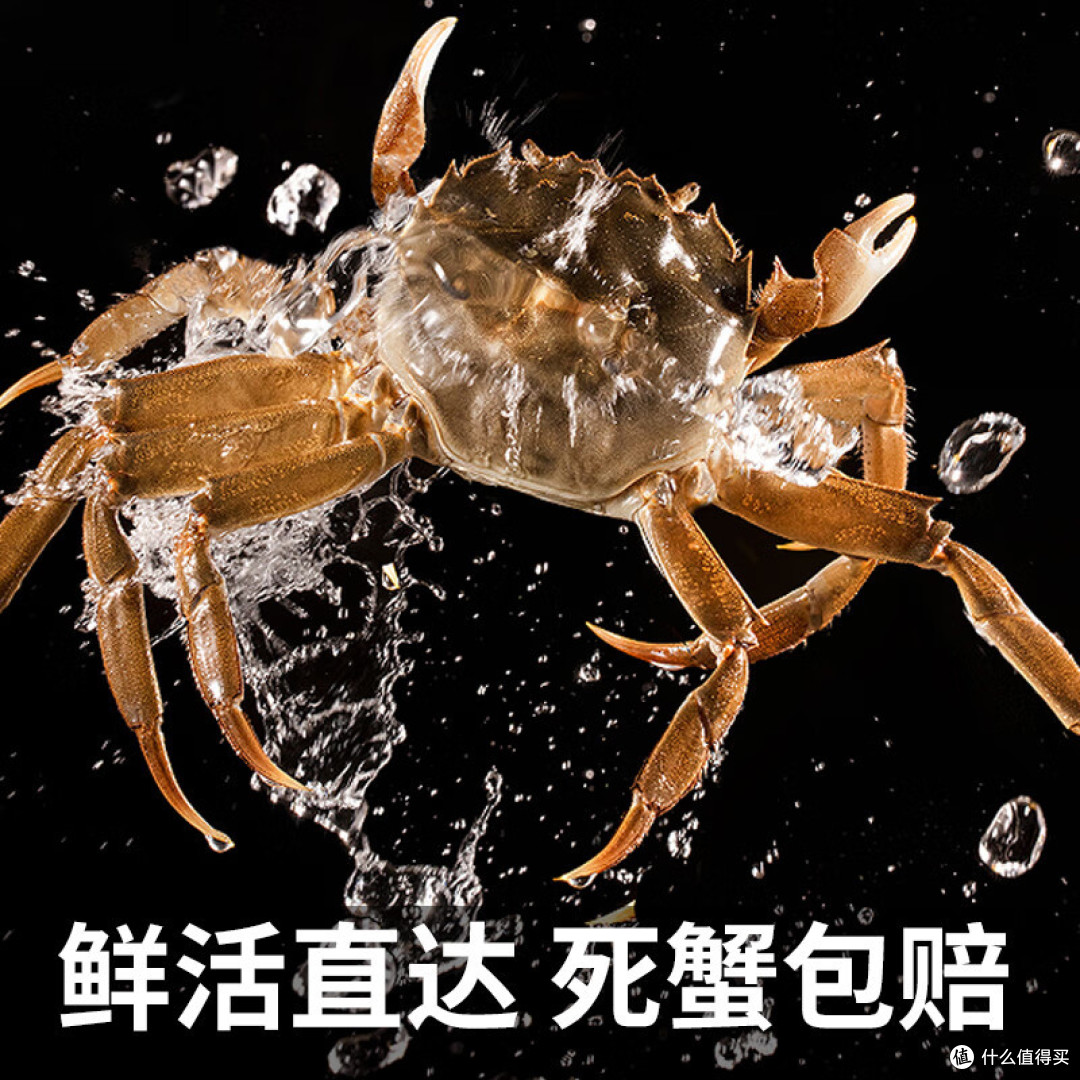 大闸蟹的美味叫人无法抵挡,让你拥有舌尖上的享受!