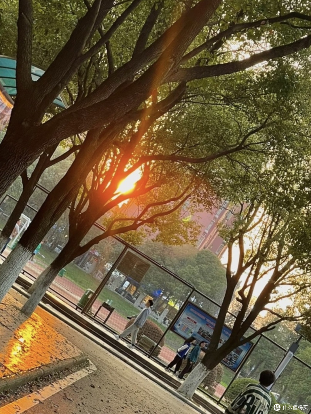 学生时代,那是一段美好而难忘的时光。
