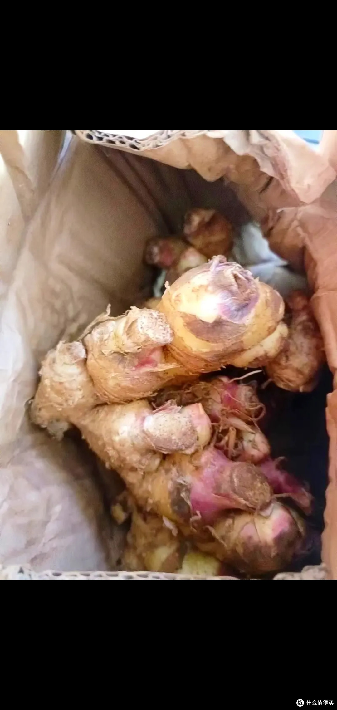 《重温儿时的味道:清蒸大闸蟹》