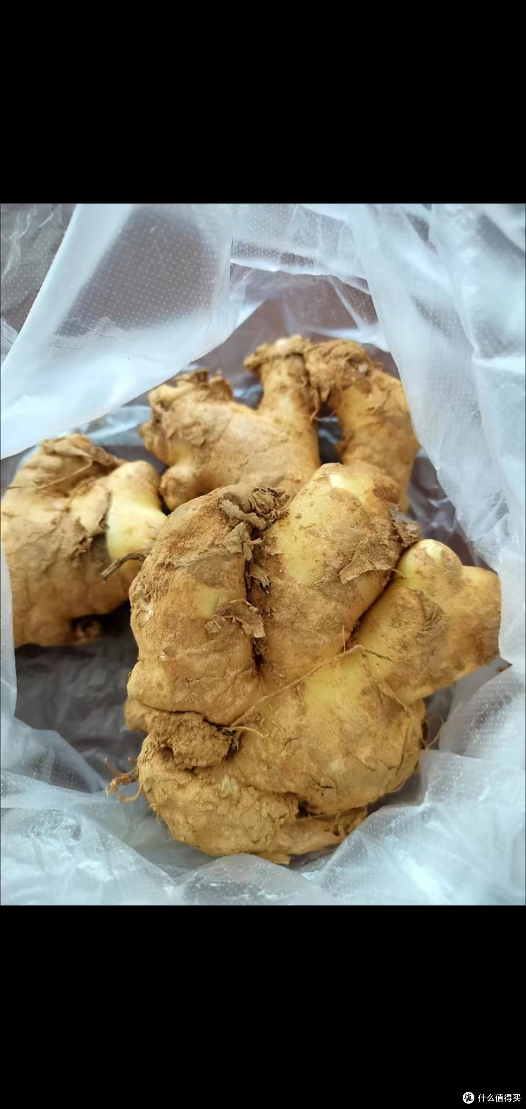 《重温儿时的味道:清蒸大闸蟹》
