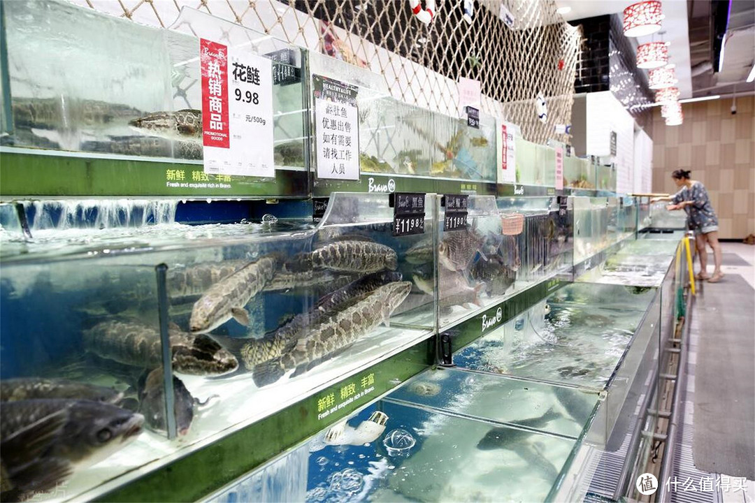 买鲈鱼，要懂“海鲈”和“河鲈”的区别，差别不少，建议仔细了解