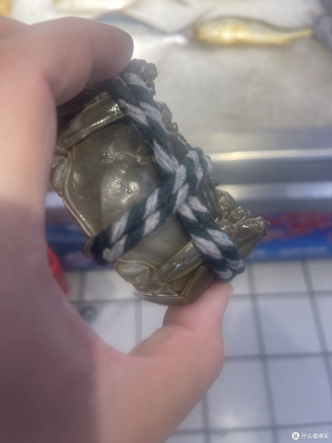 大闸蟹也到了可以吃的时候了……