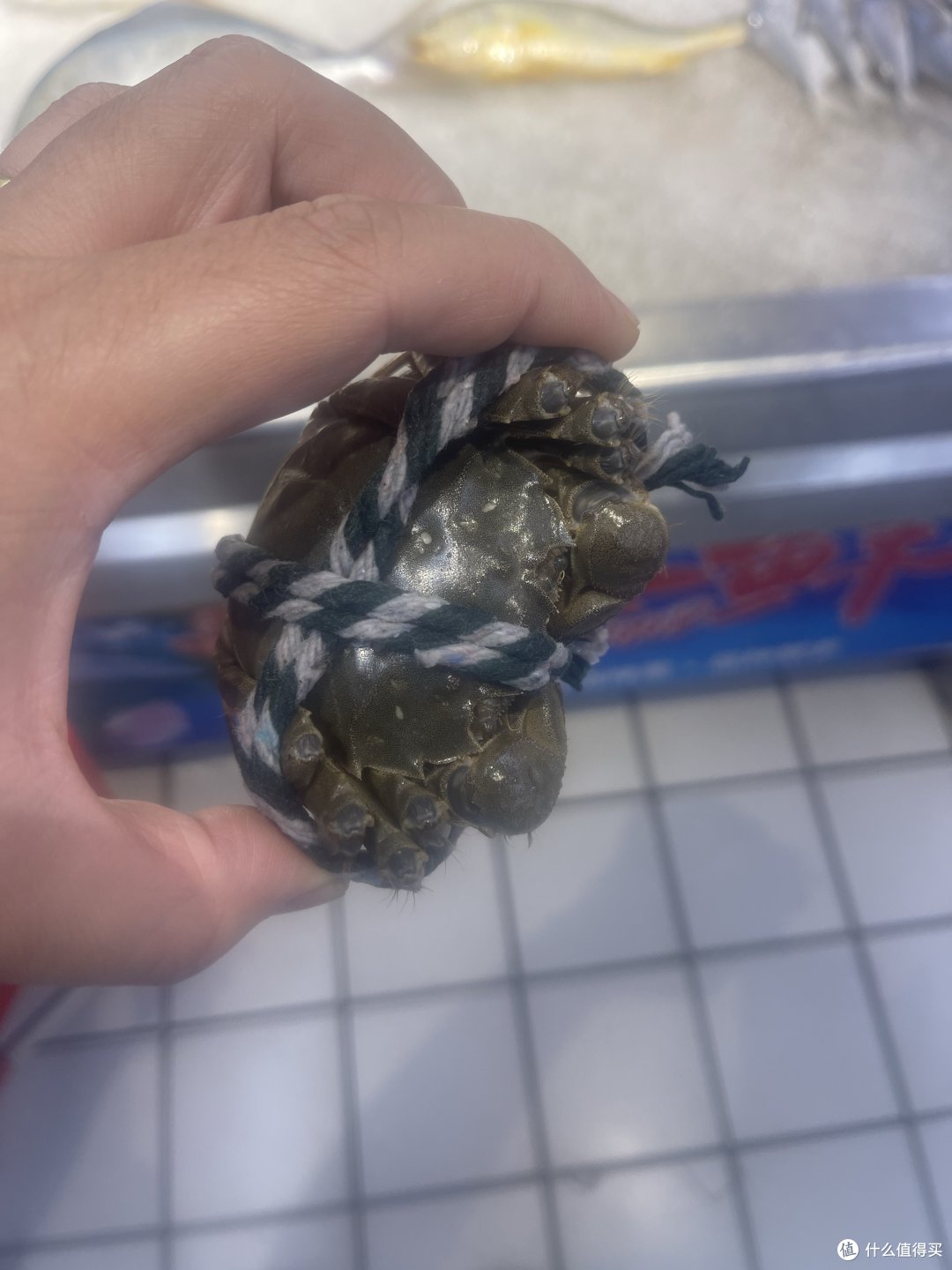 大闸蟹也到了可以吃的时候了……