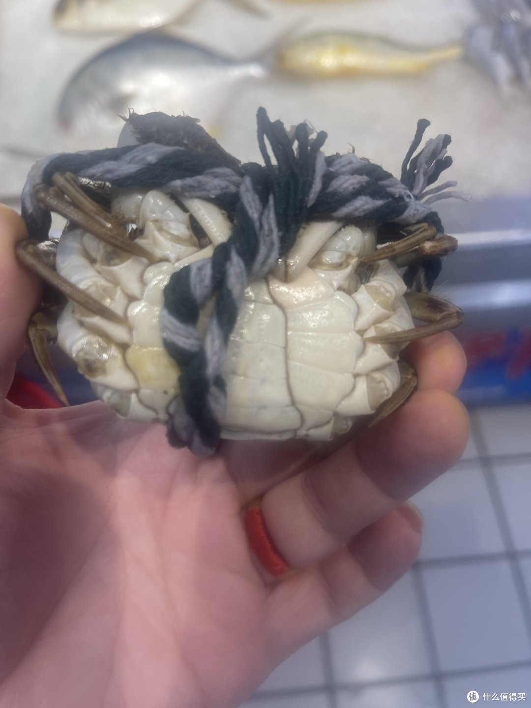 大闸蟹也到了可以吃的时候了……