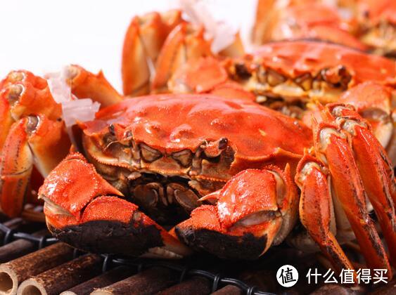 金秋9月蟹逅你：鲜活六月黄大闸蟹，怎么吃都是美味!
