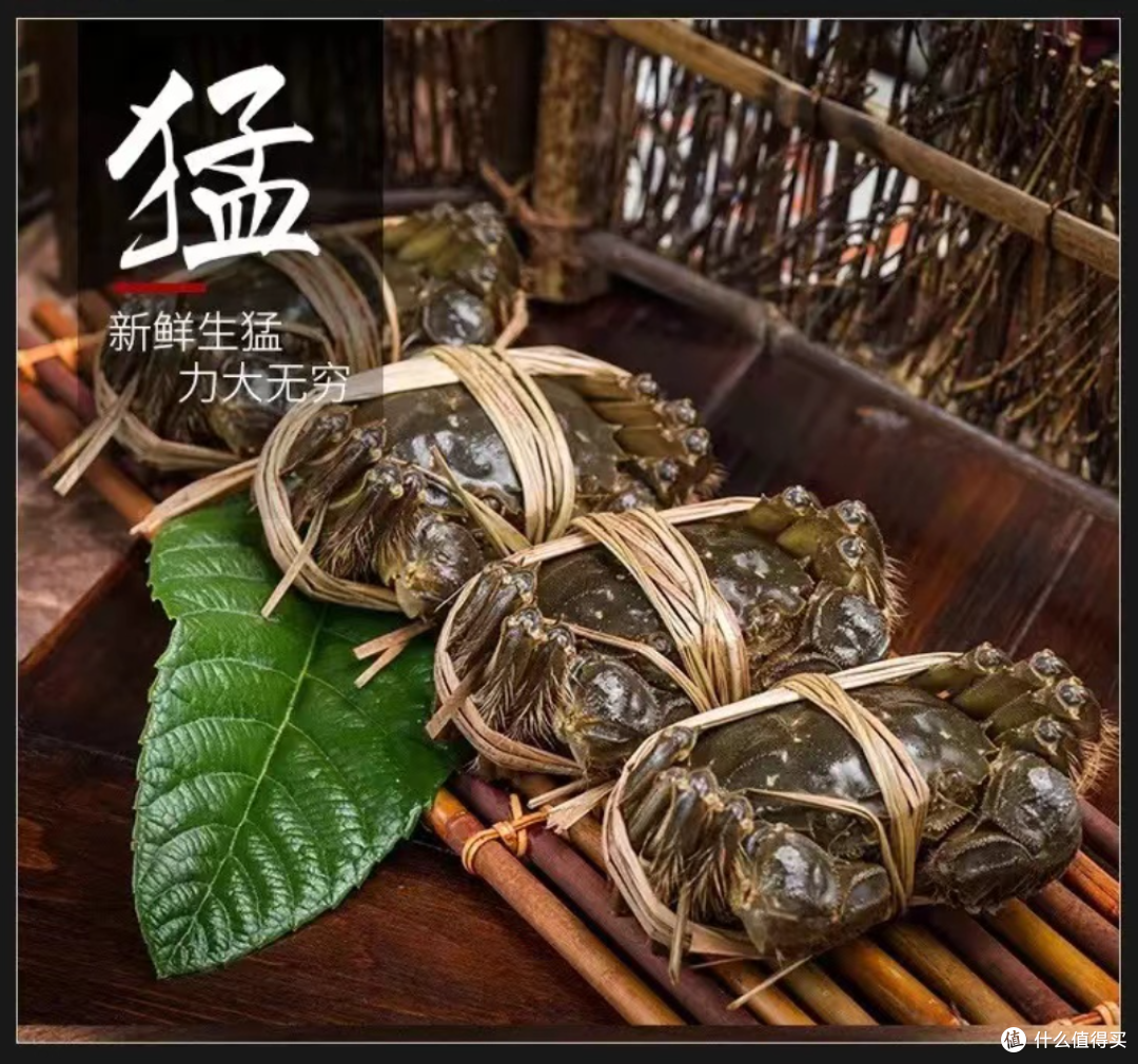 先读懂大闸蟹,才能更好的吃大闸蟹