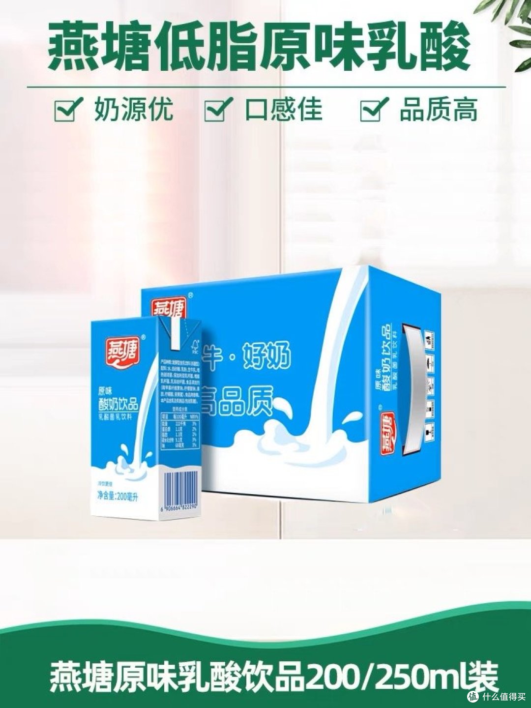 燕塘原味酸奶:广府奶乳饮品营养低脂健康肠道少负担