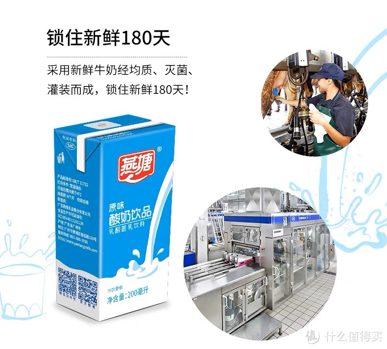 燕塘原味酸奶:广府奶乳饮品营养低脂健康肠道少负担
