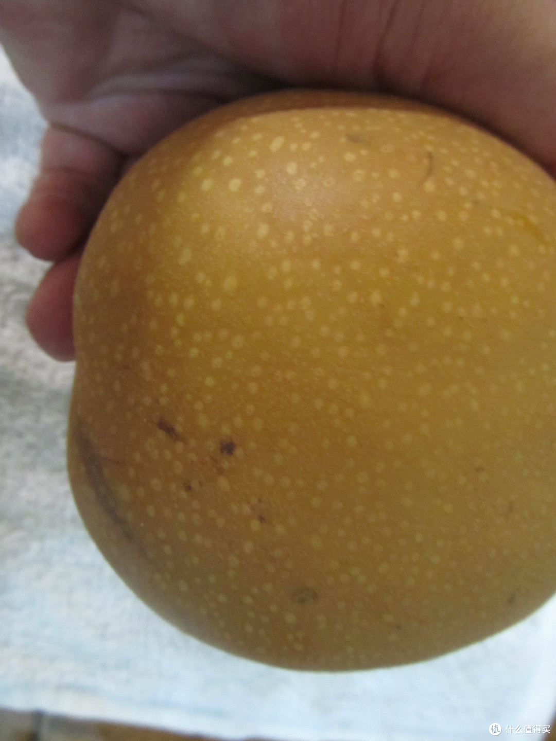 嗨,你好,橘子,你被咬了一口吗?🍐