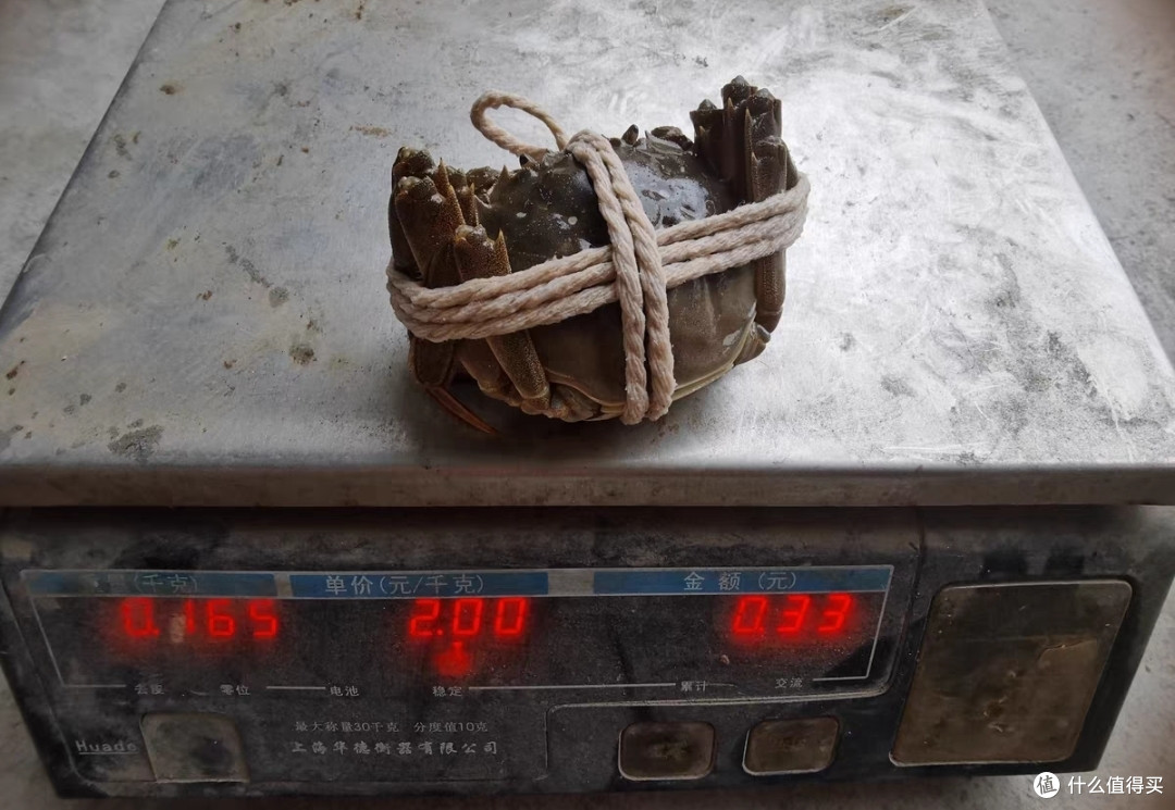 正宗大闸蟹称3.3两斤,切半新鲜吸嫩,蟹黄流起来太兴奋了!