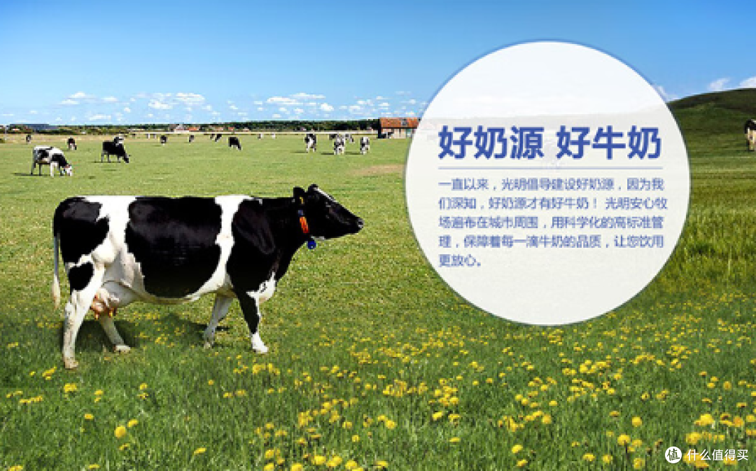 宝藏乳品:光明一只椰子 ,低温椰子风味牛奶