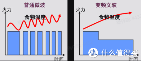 【拆机+横测】一口气拆三台！家用微蒸烤箱该怎么选？看完拆机就懂了！深度测评美的、西门子、蒸烤箱