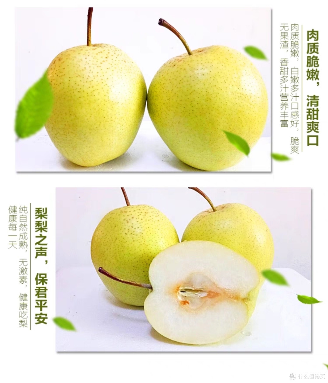 秋季季节病例应对攻略