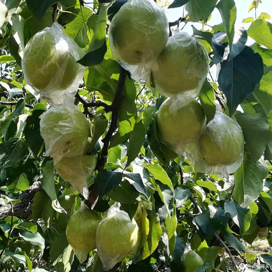 秋季季节病例应对攻略