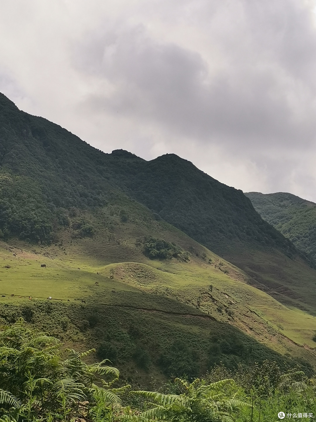 畅游粤桂贵滇,开启4000公里的奇幻之旅!-day7-高山草原篇